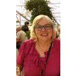 Gertrud Seniorentreff Würzburg