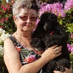 Sonja Seniorentreff Bahretal