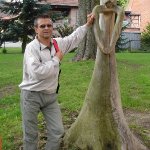 tadeusz Seniorentreff Lehrte